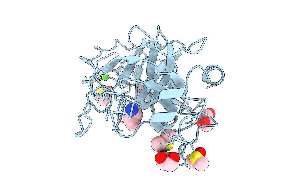 3RXG image