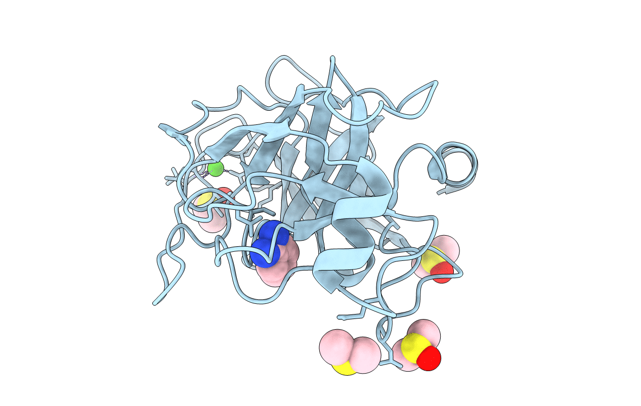 3RXU image