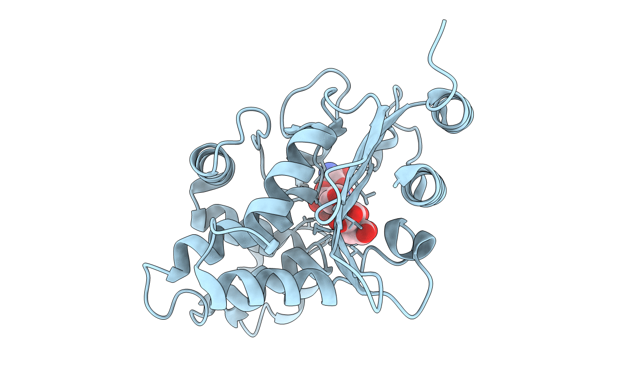 3RXW image