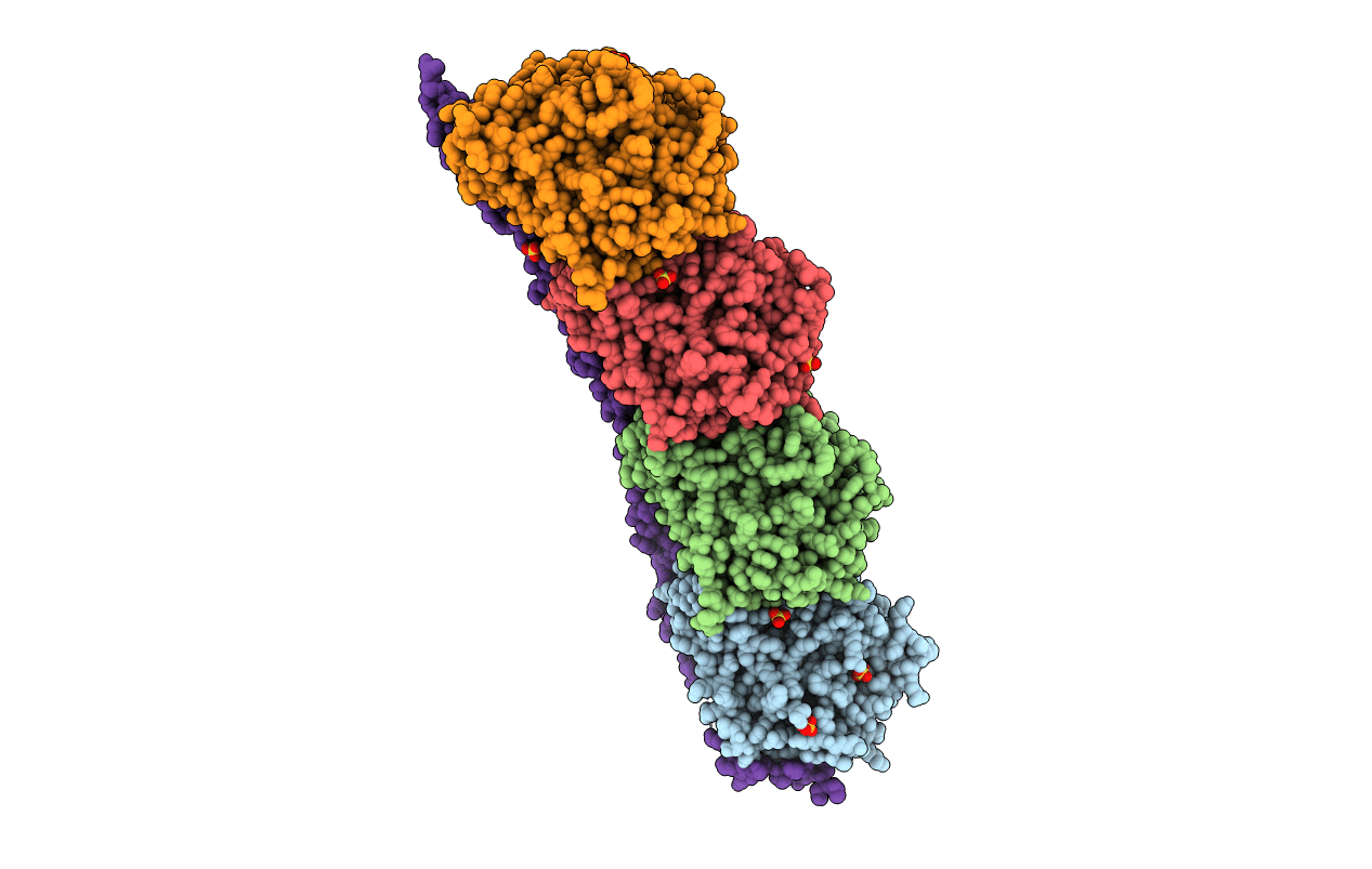 3RYF image