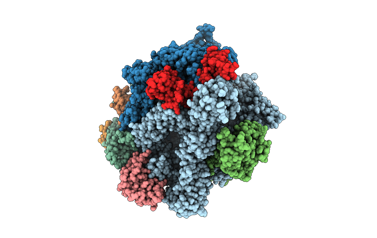 3S16 image