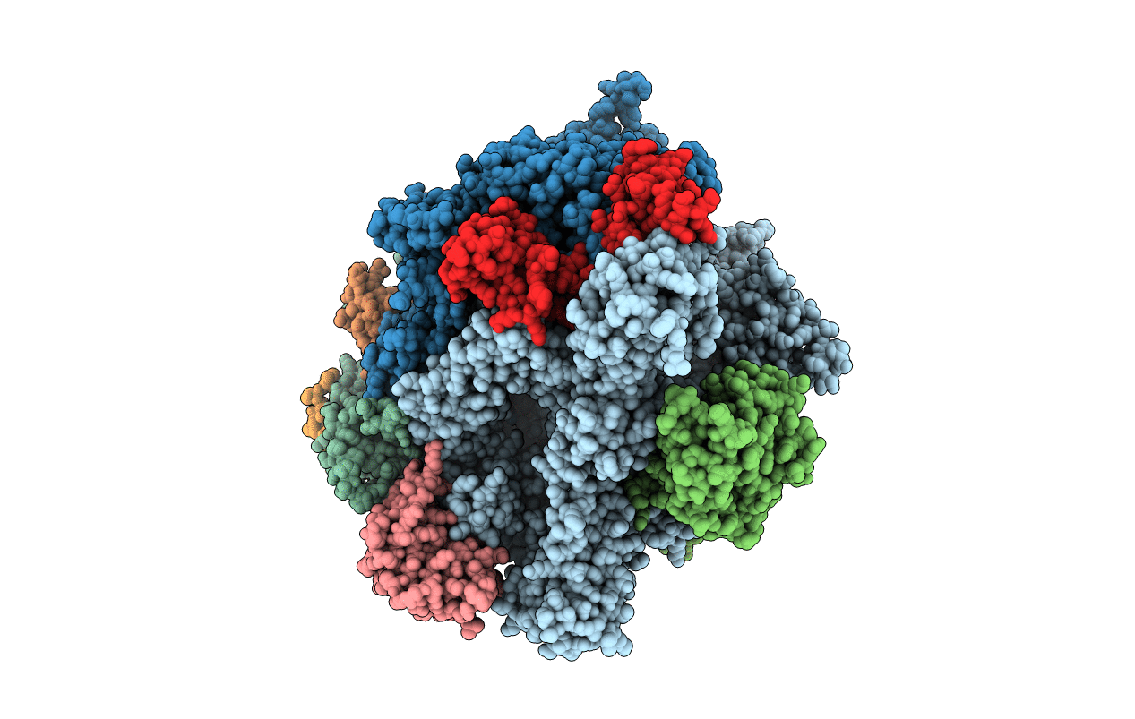 3S17 image