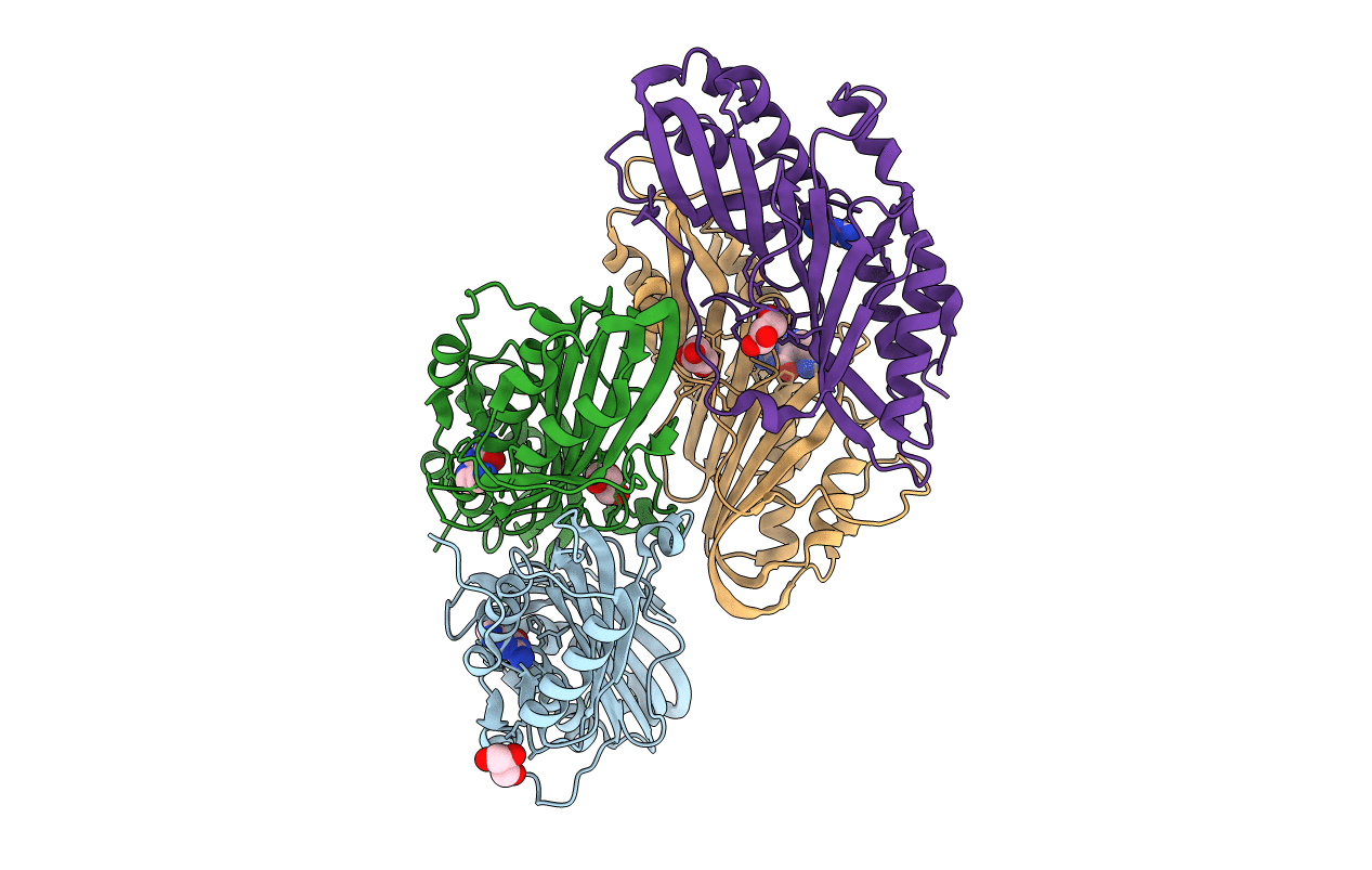 3S19 image