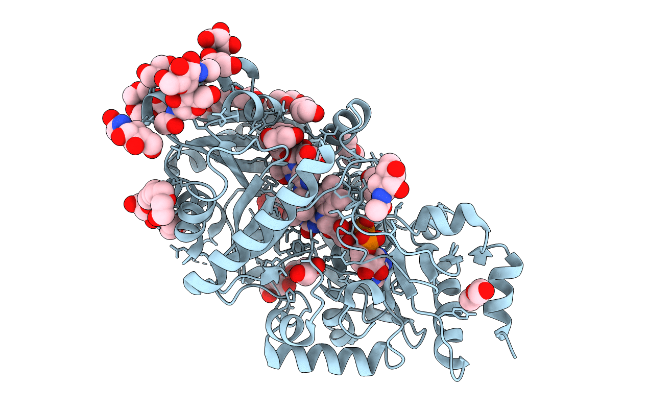 3S1C image