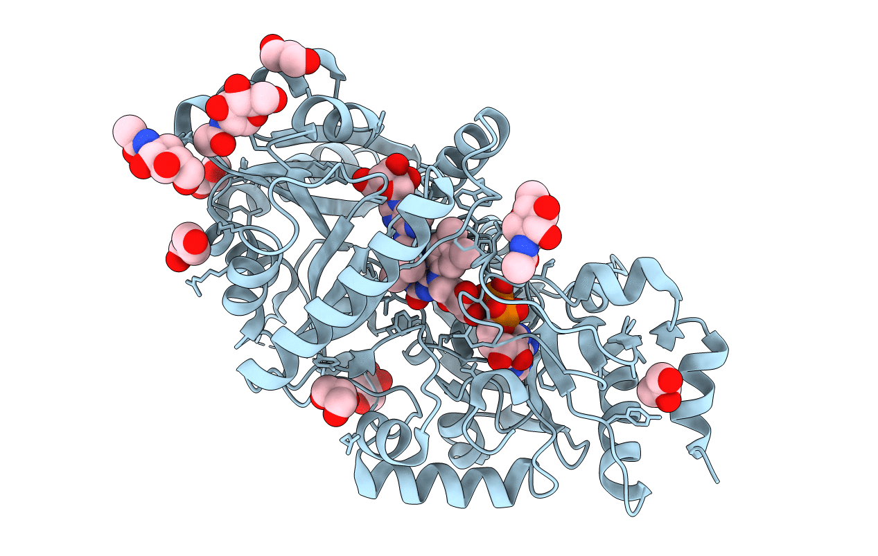3S1D image
