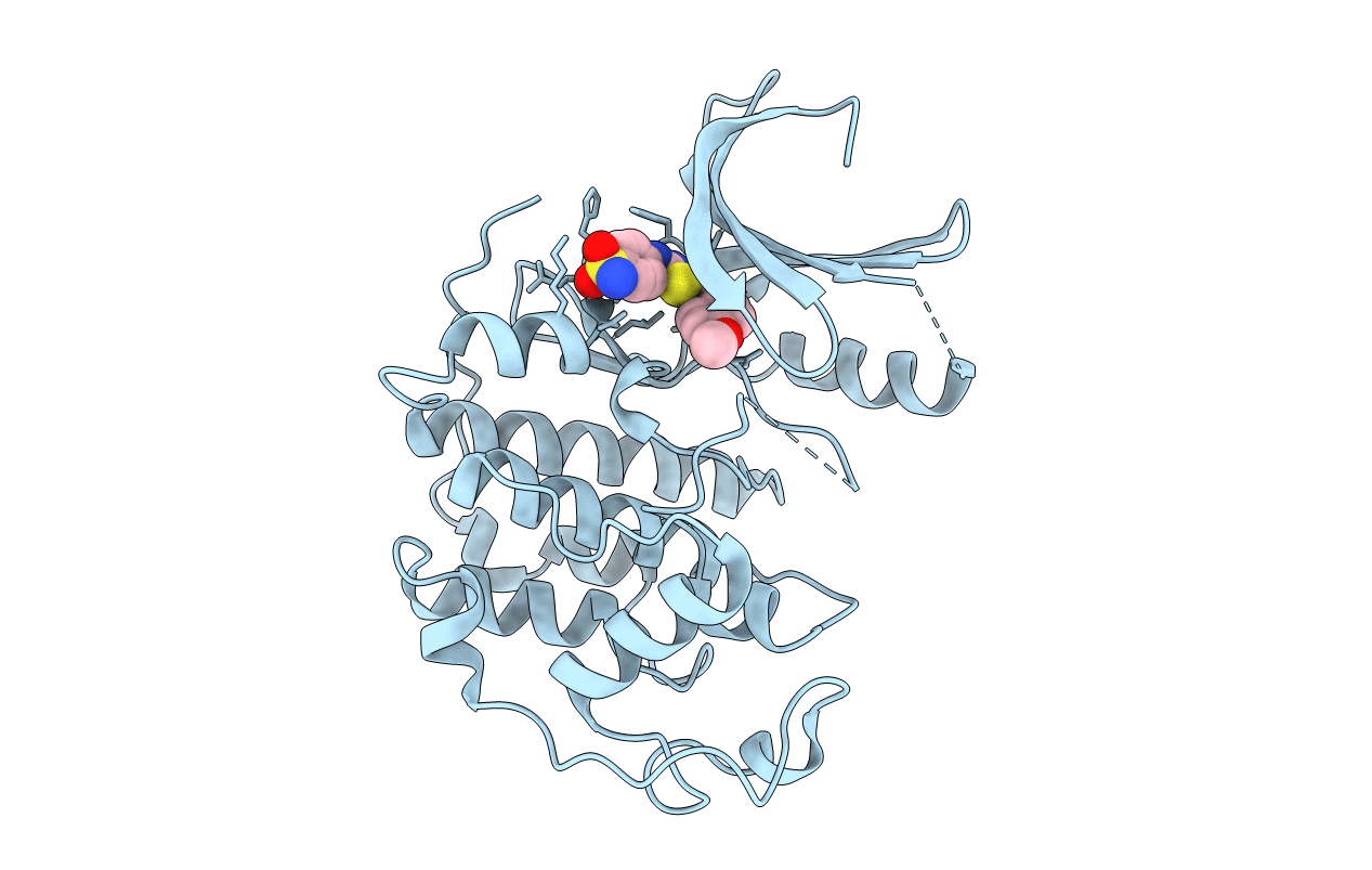 3S1H image