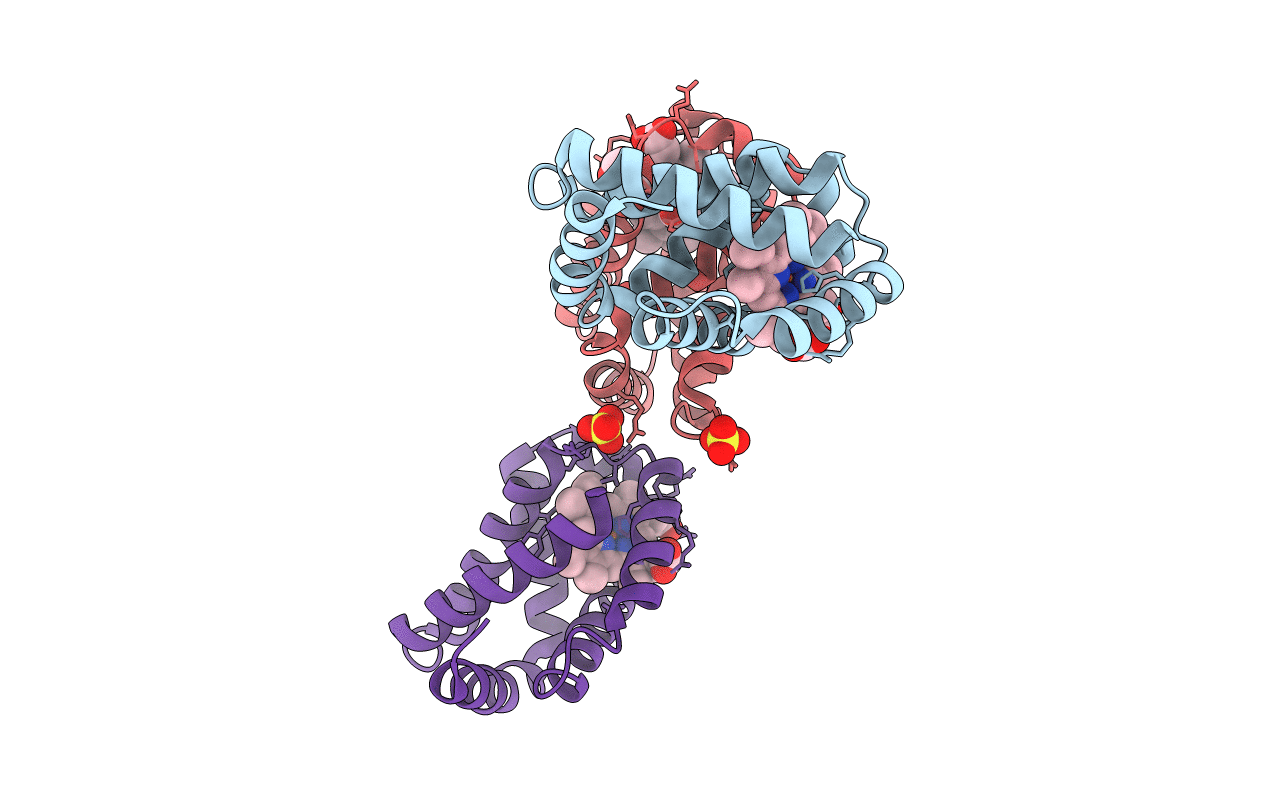3S1J image