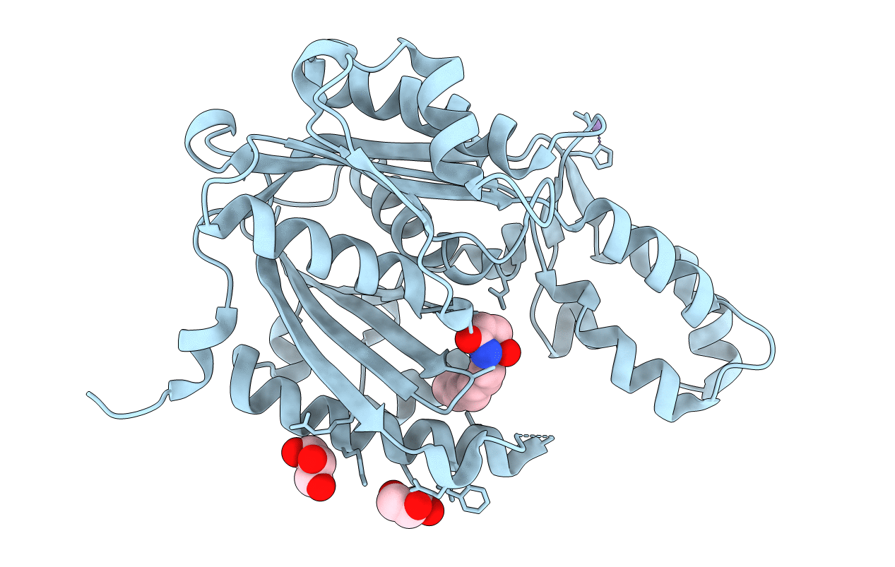 3S21 image