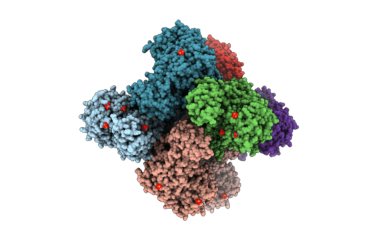 3S29 image