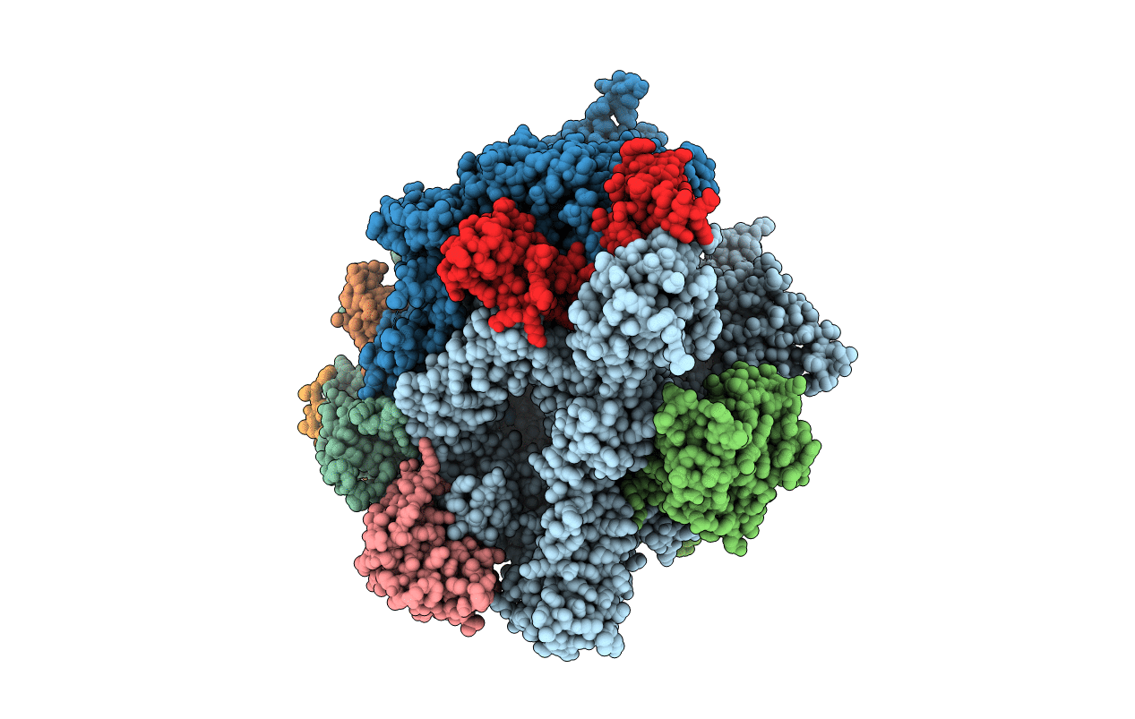 3S2D image