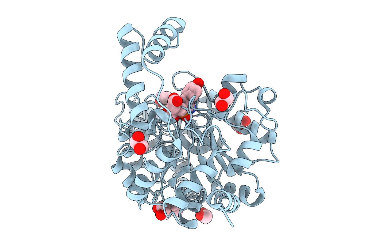 3S2N image