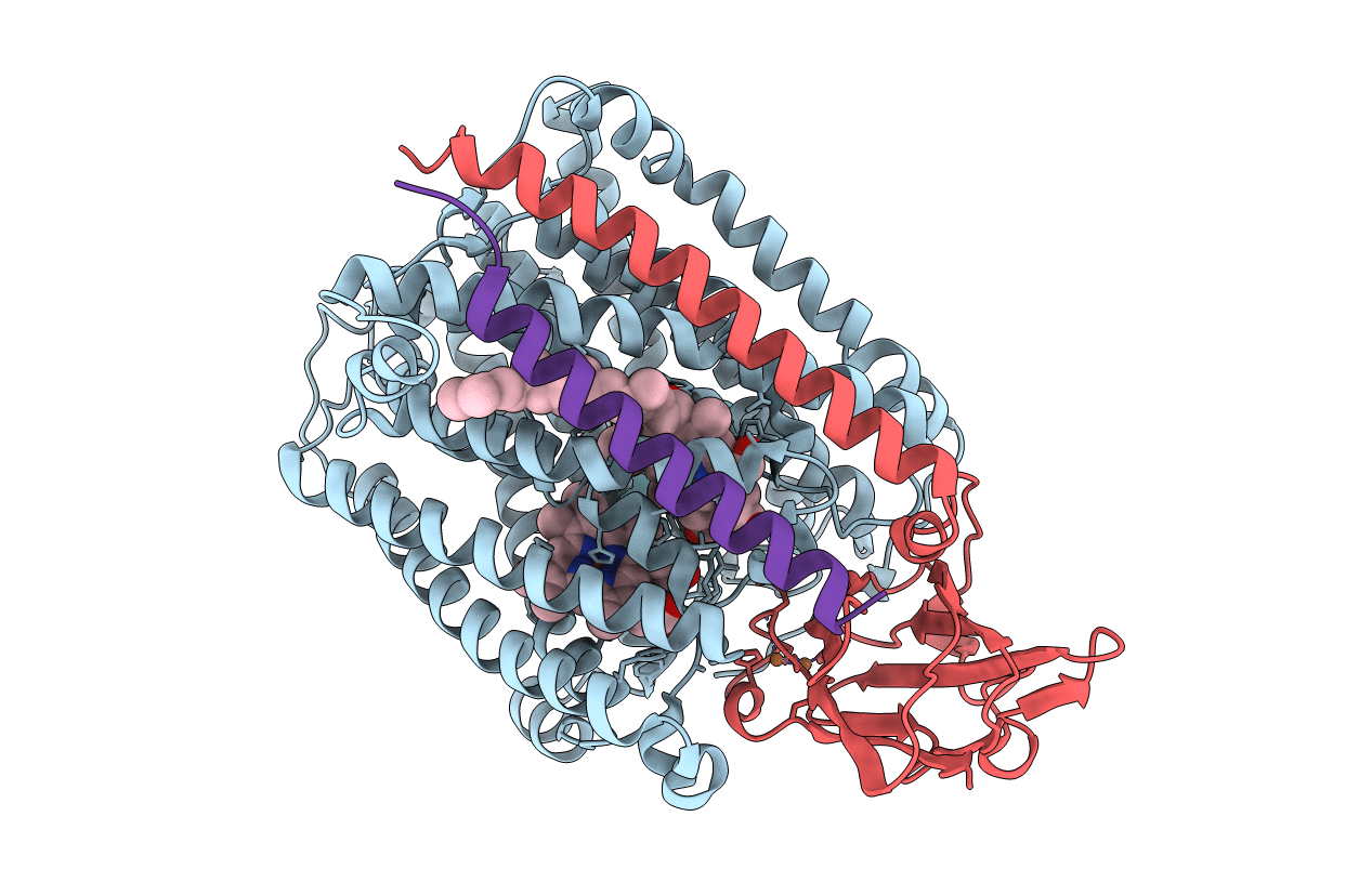 3S38 image