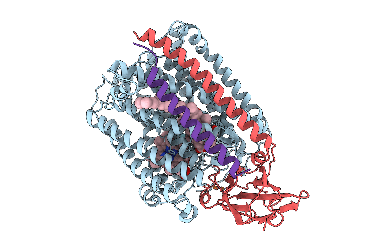 3S39 image