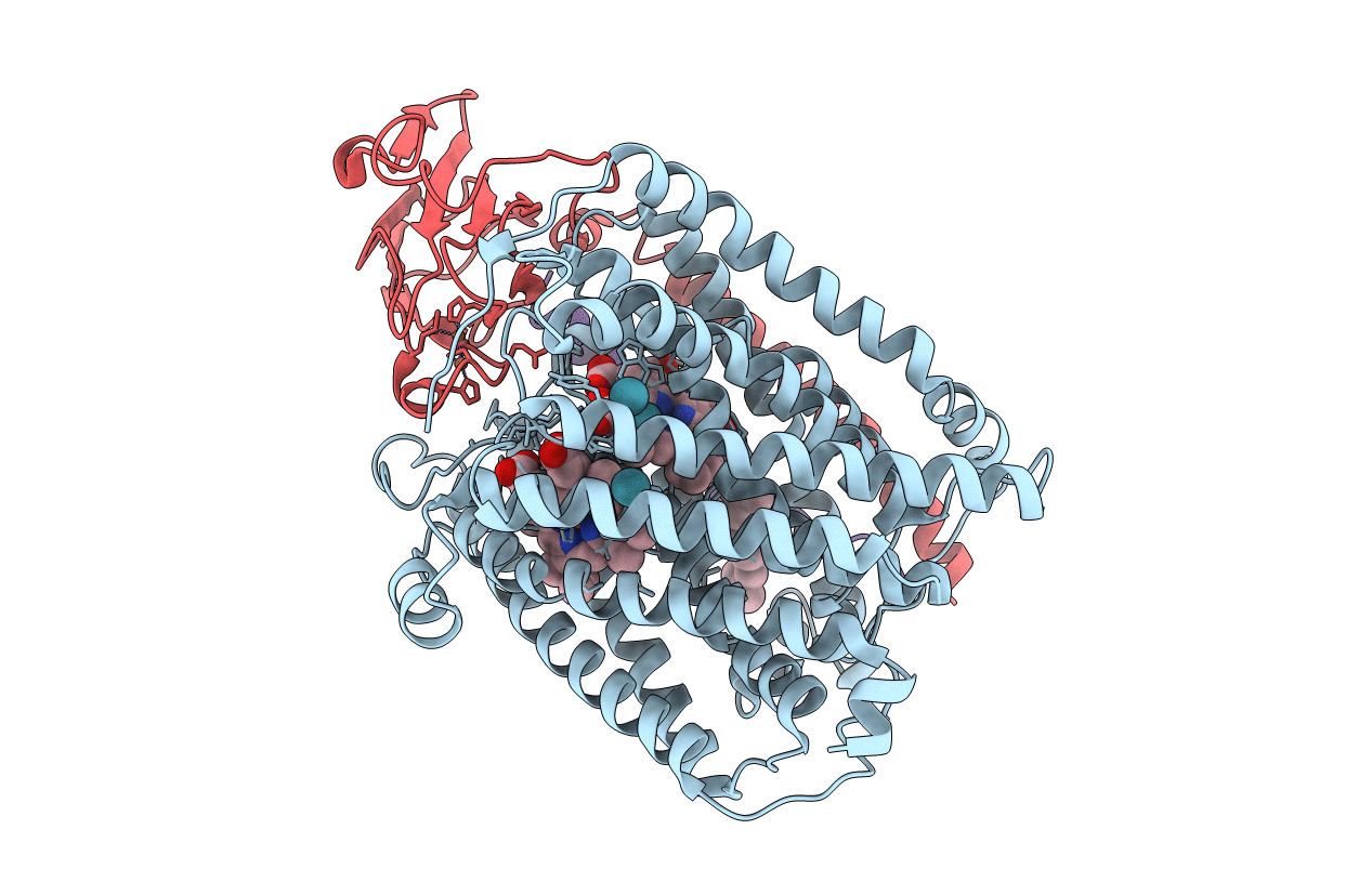 3S3C image