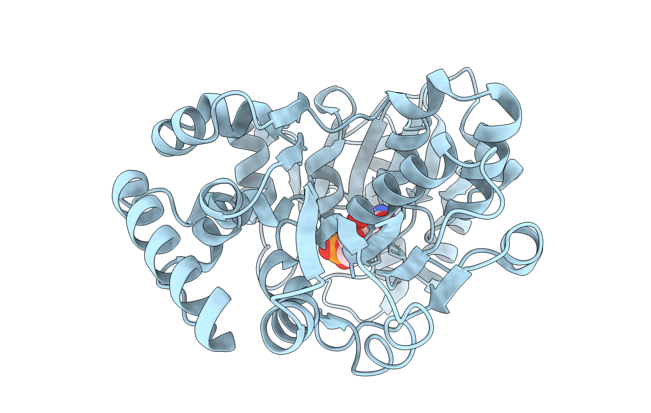 3S44 image