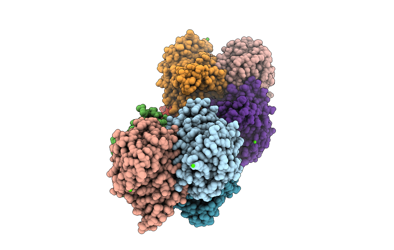 3S55 image