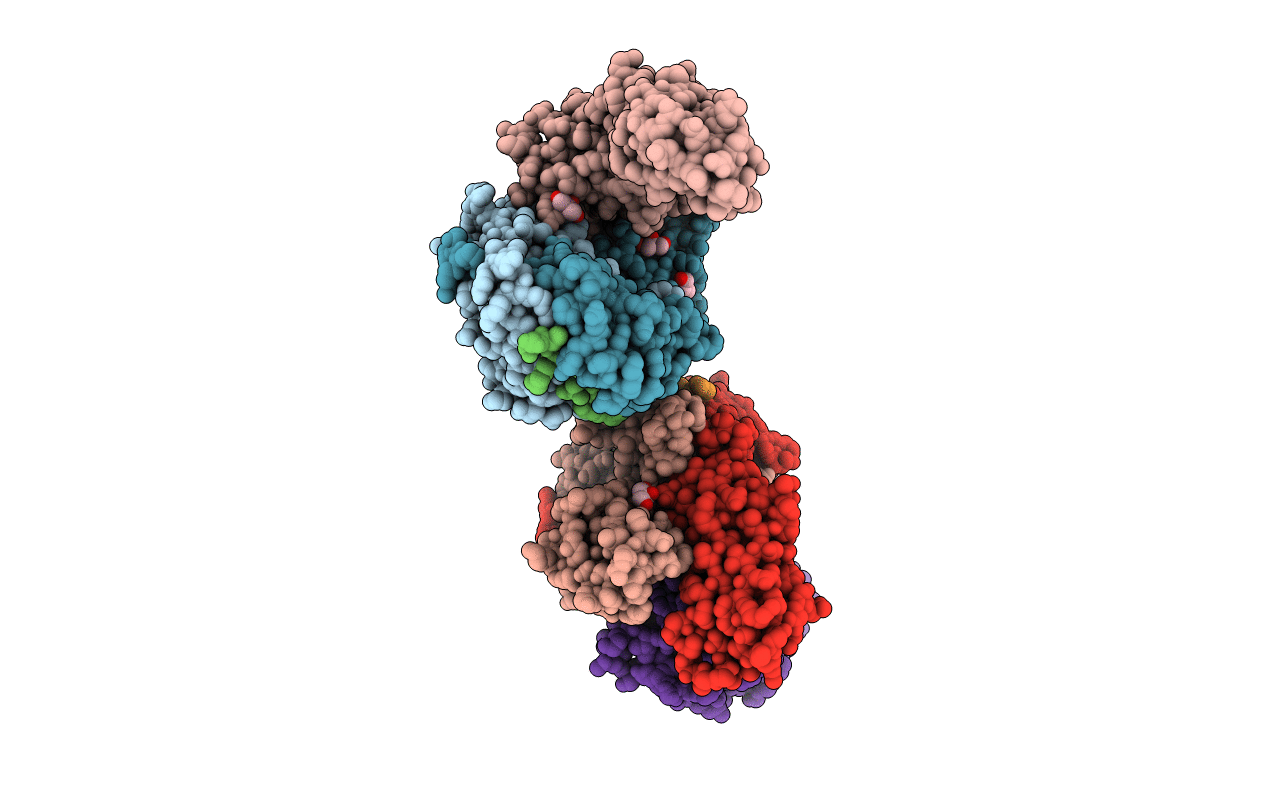 3S5L image