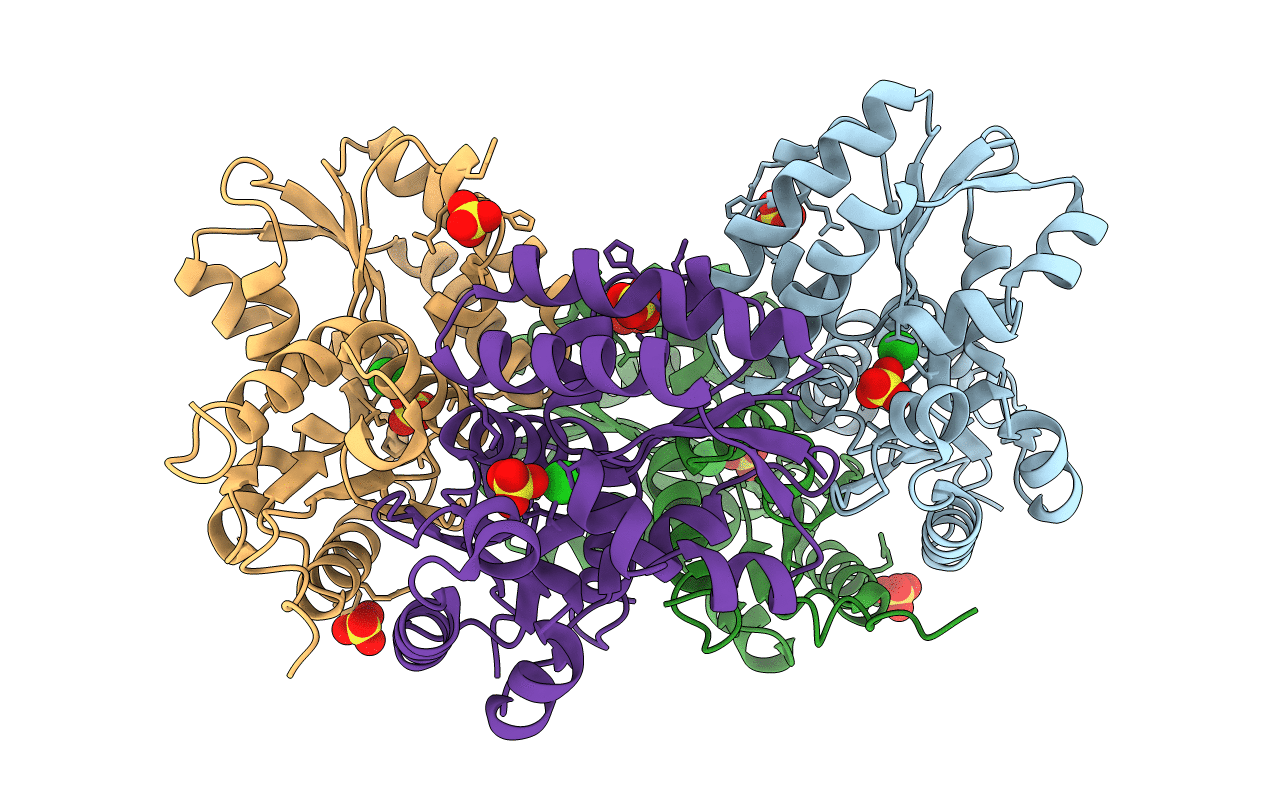 3S81 image