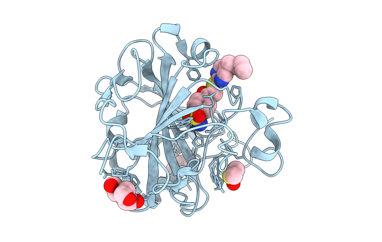 3SAP image