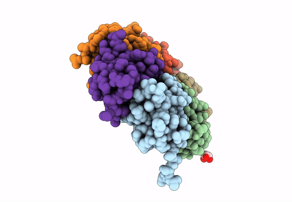 3SB2 image