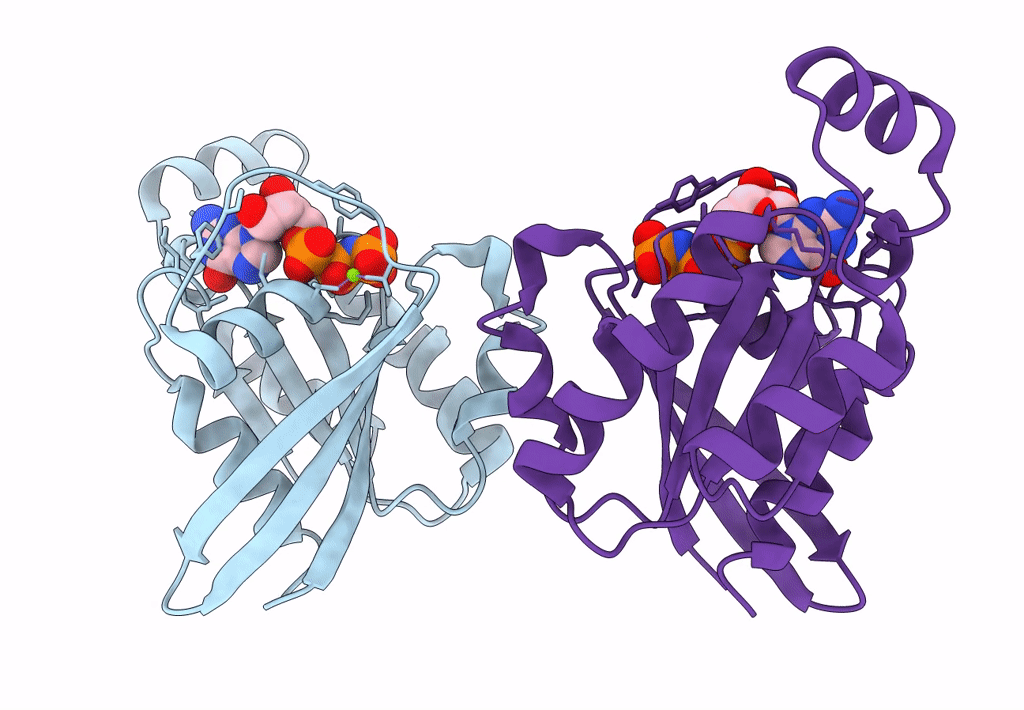 3SBD image