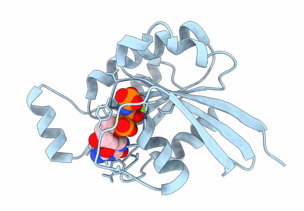 3SBE image