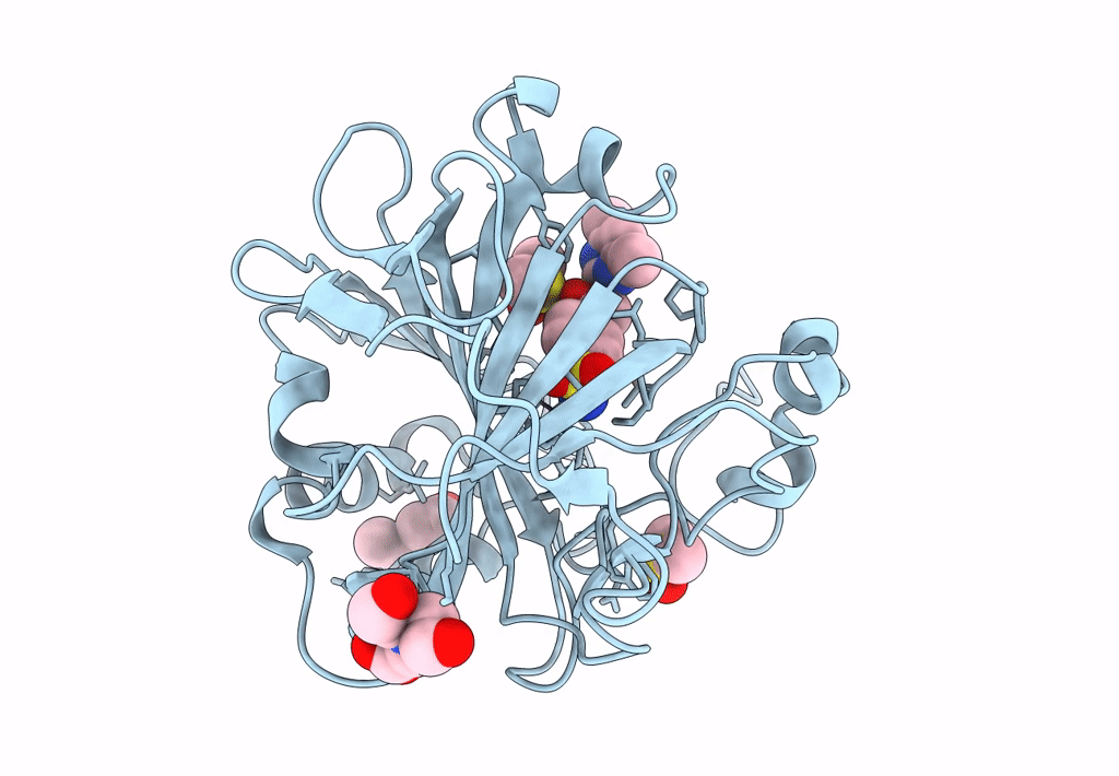 3SBH image