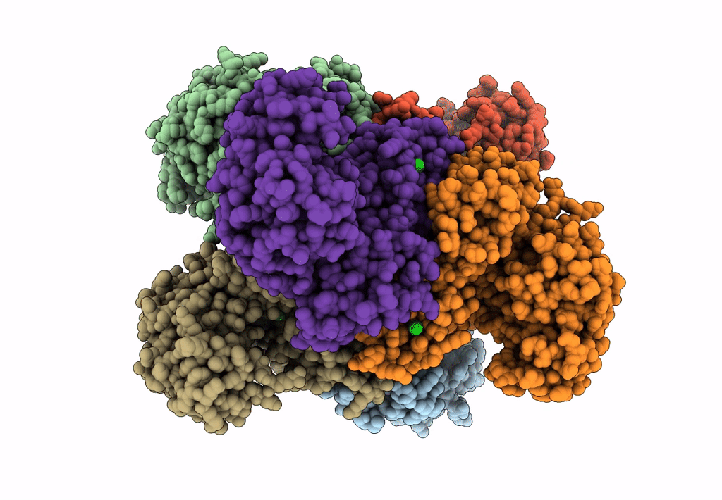 3SBO image