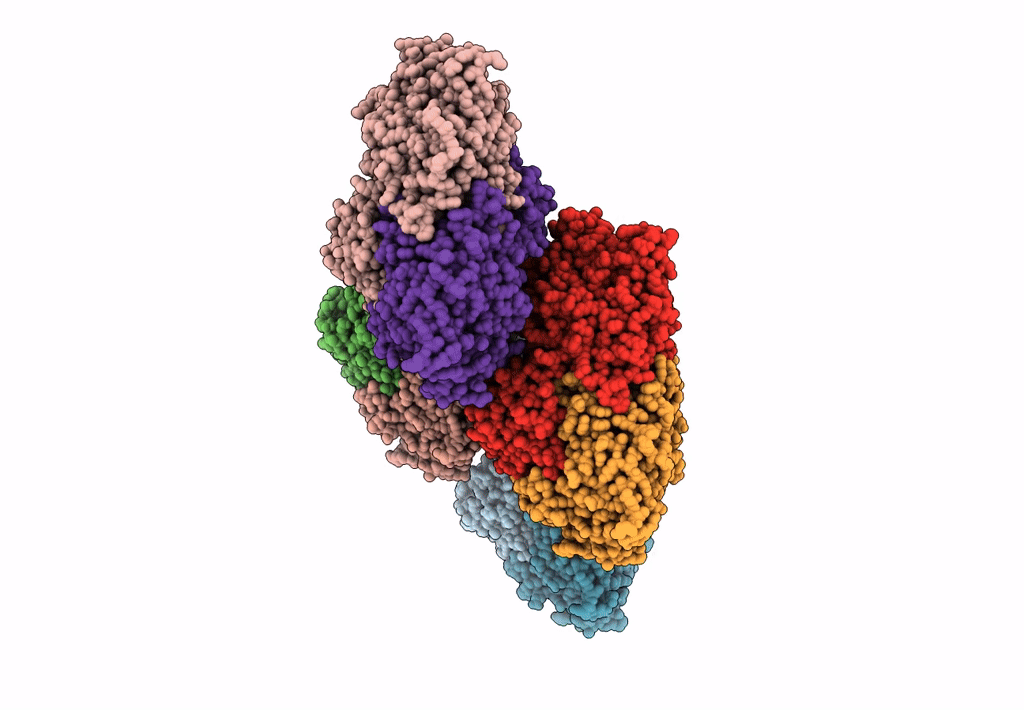 3SBP image