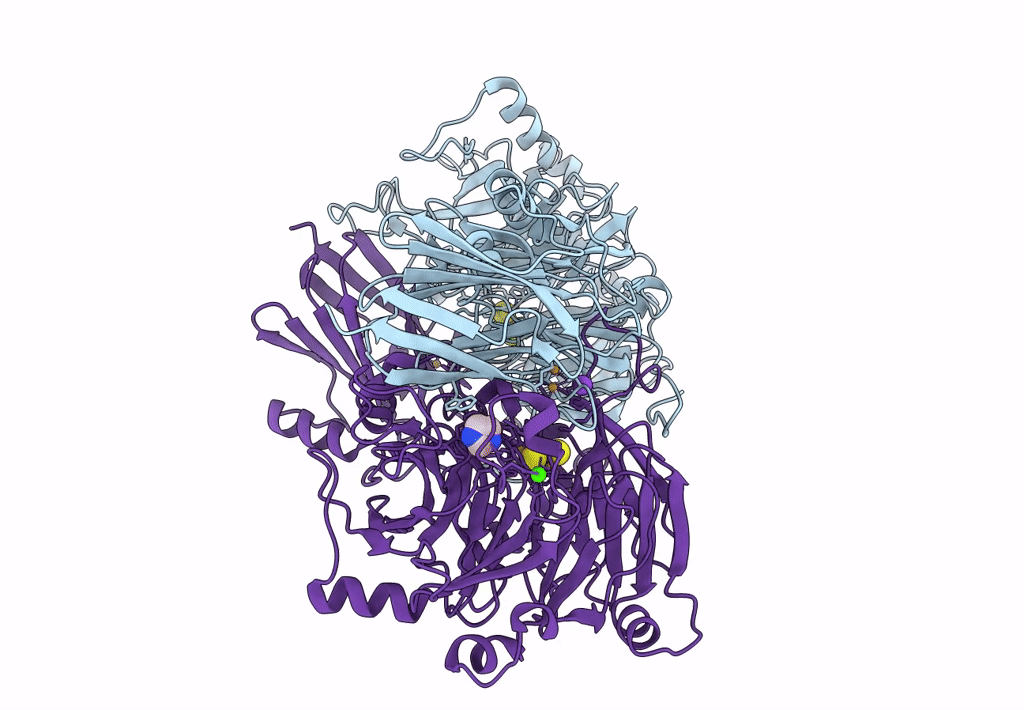 3SBQ image