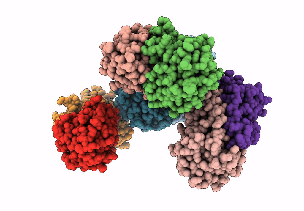 3SBX image