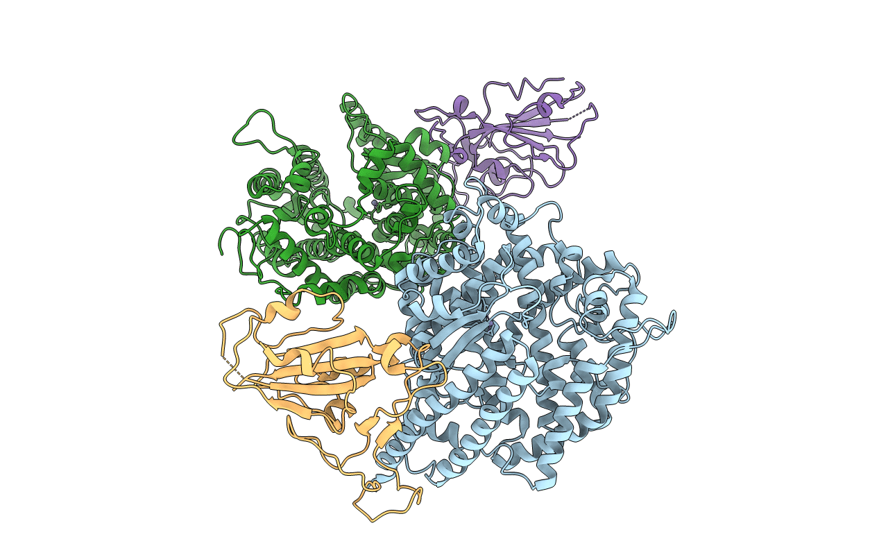 3SCI image