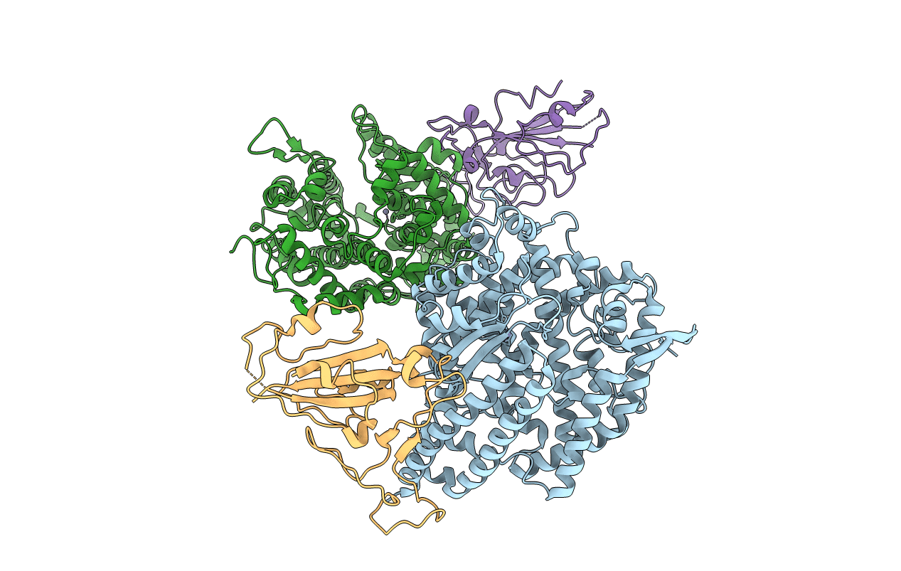 3SCL image