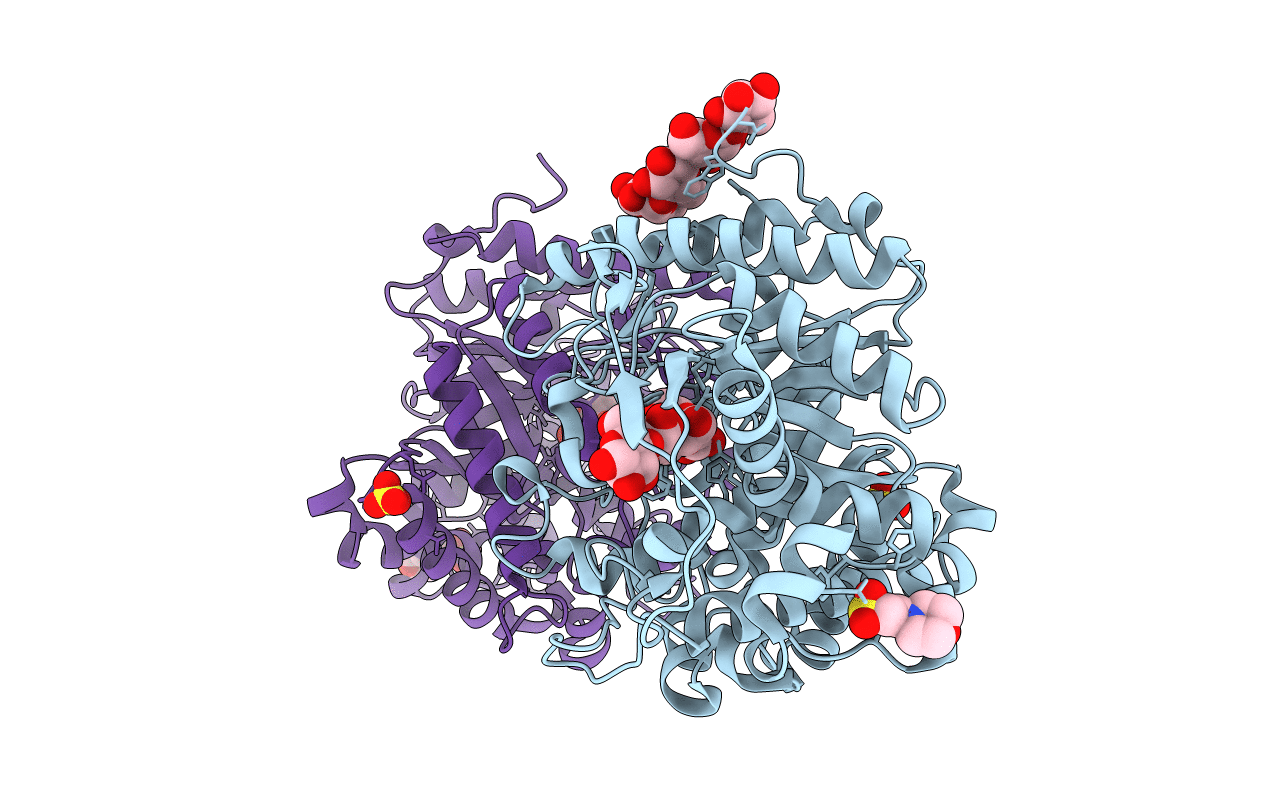 3SCT image