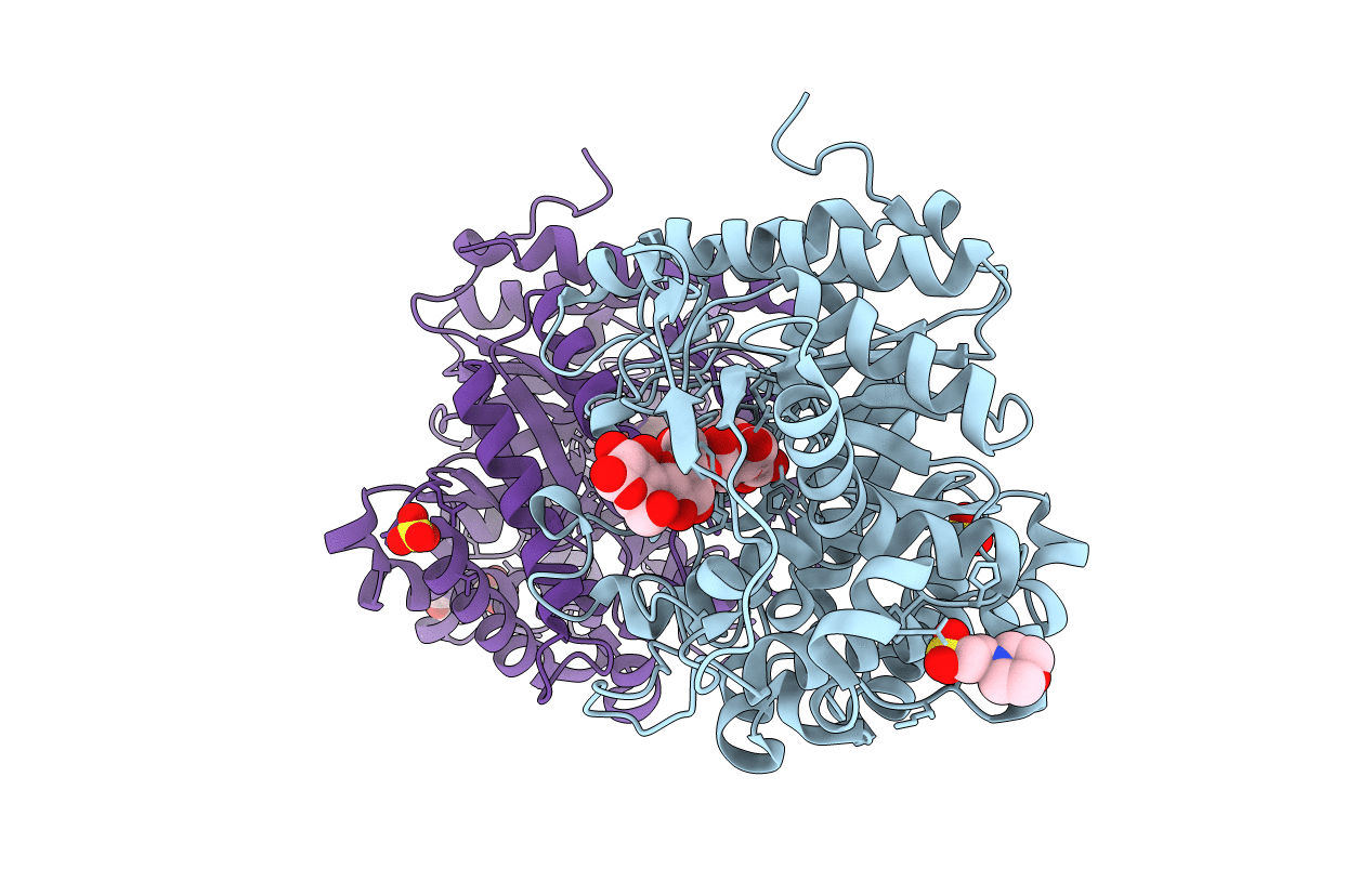 3SCU image