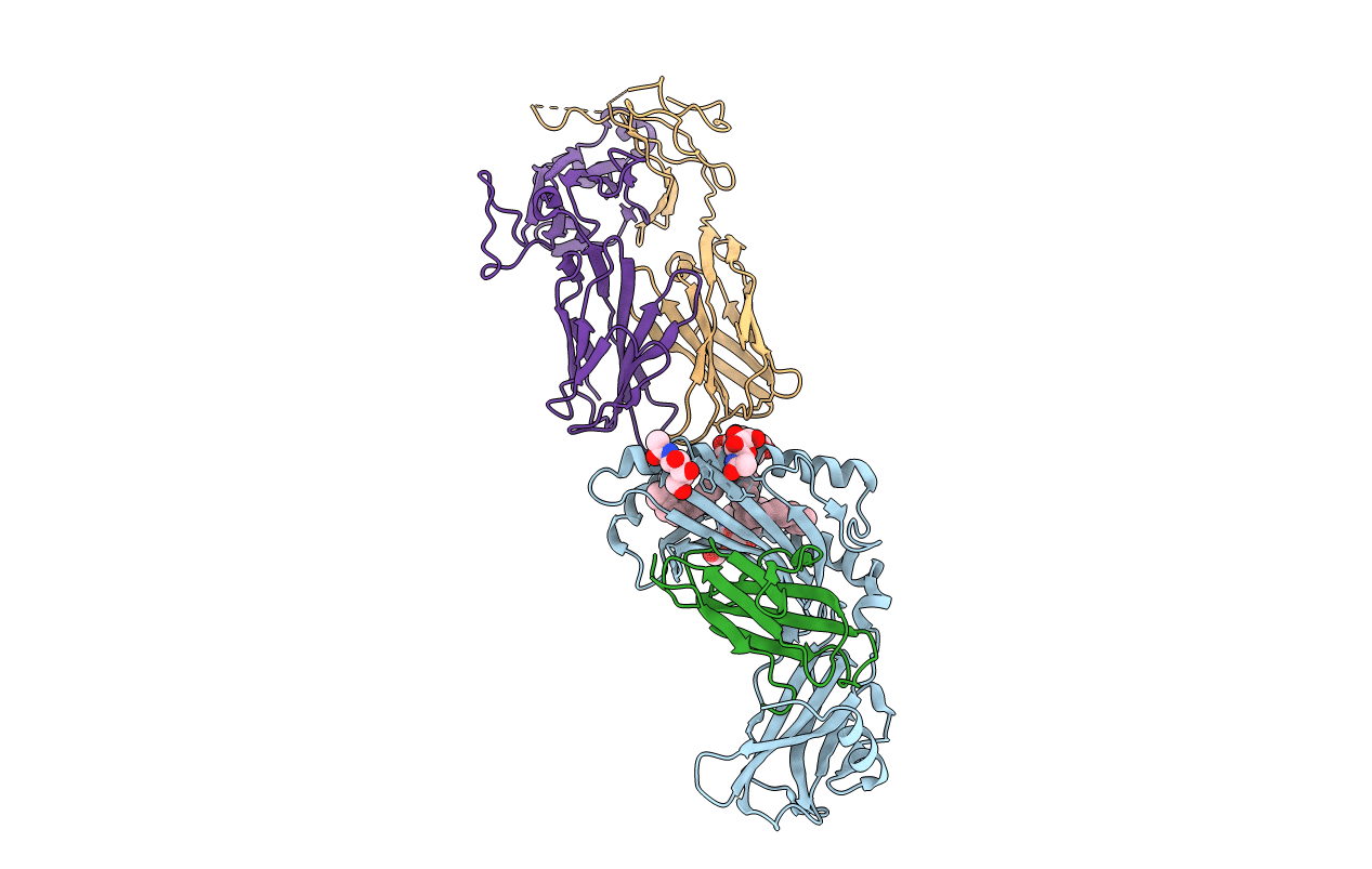 3SDD image