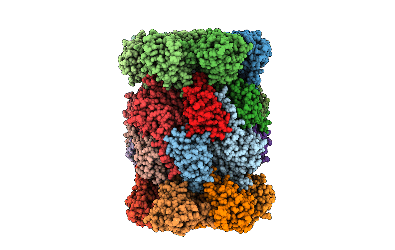 3SDI image