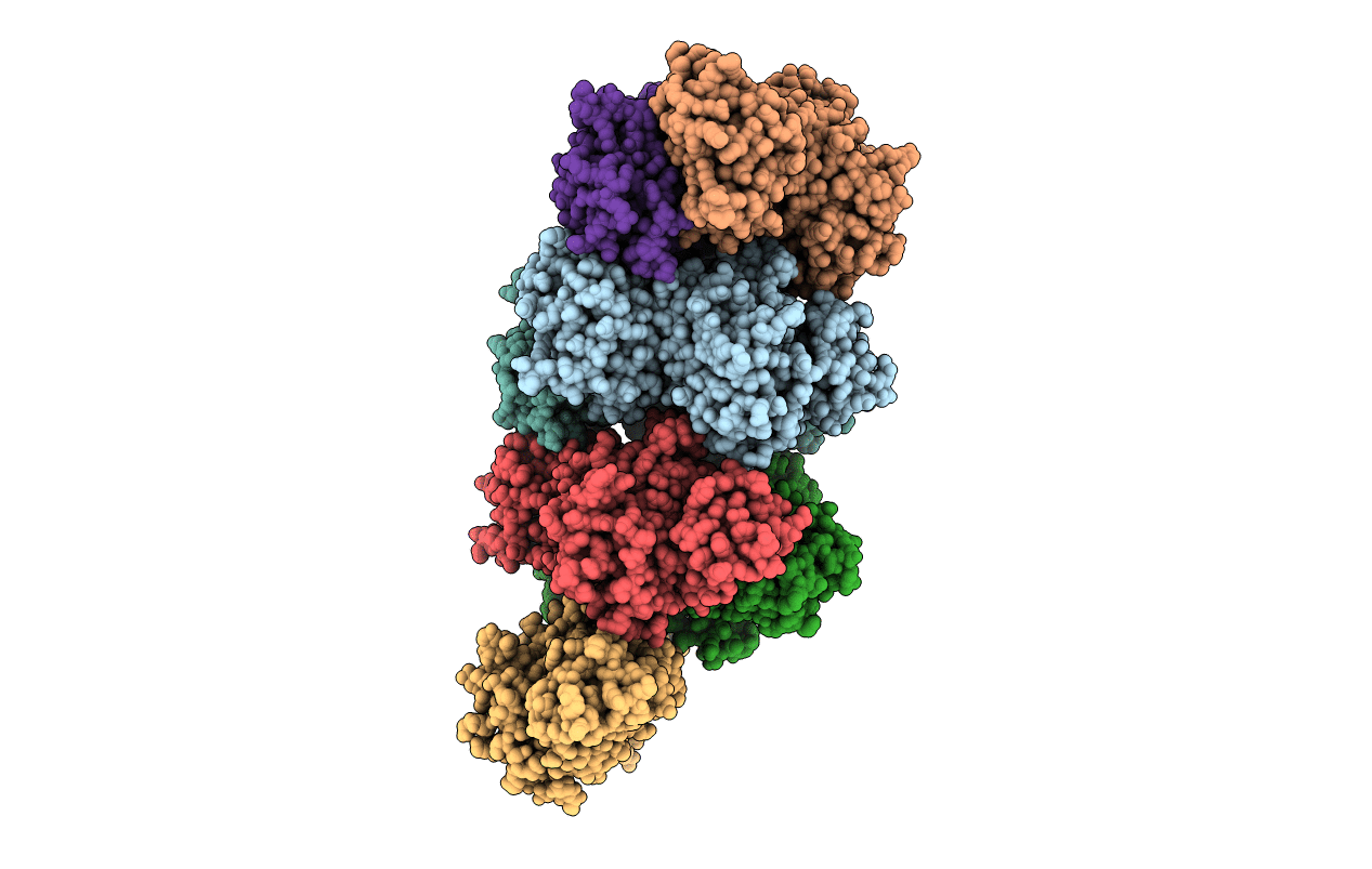 3SDM image
