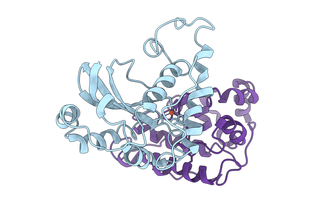 3SDP image