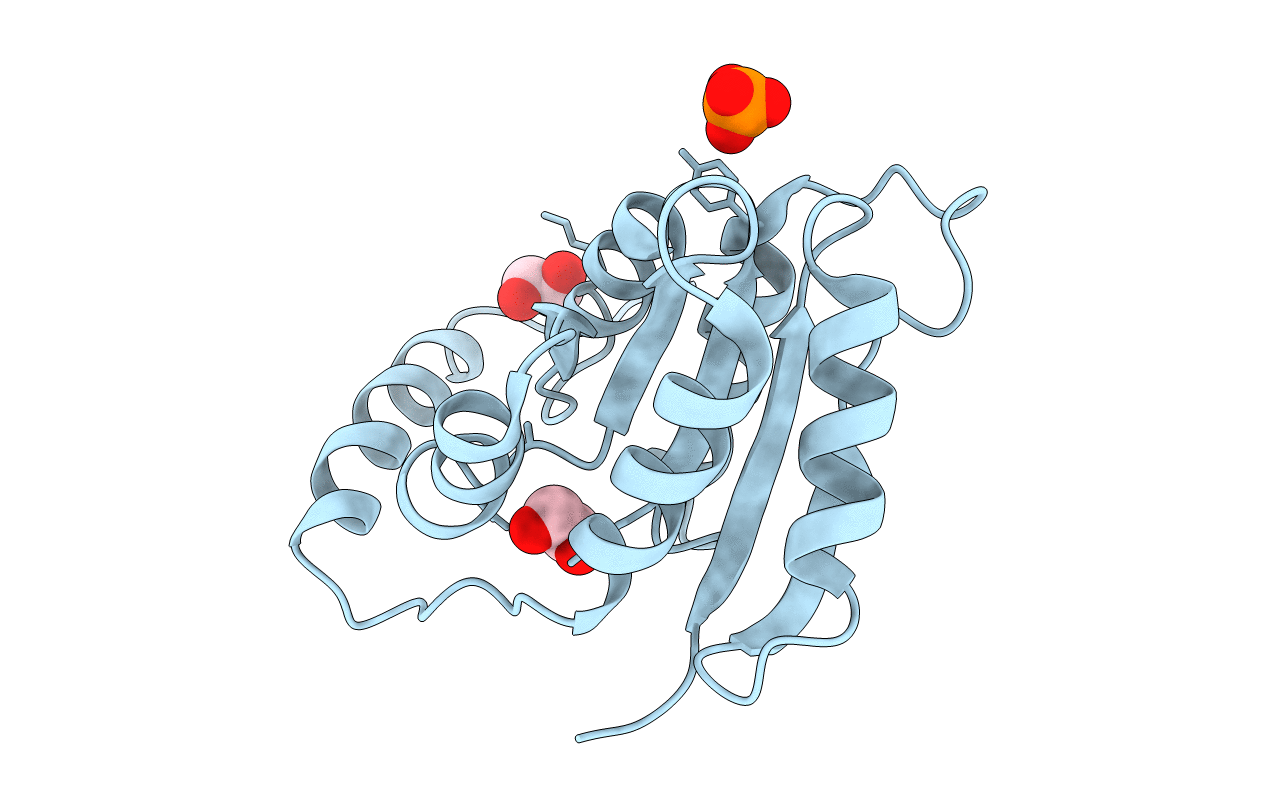 3SDW image