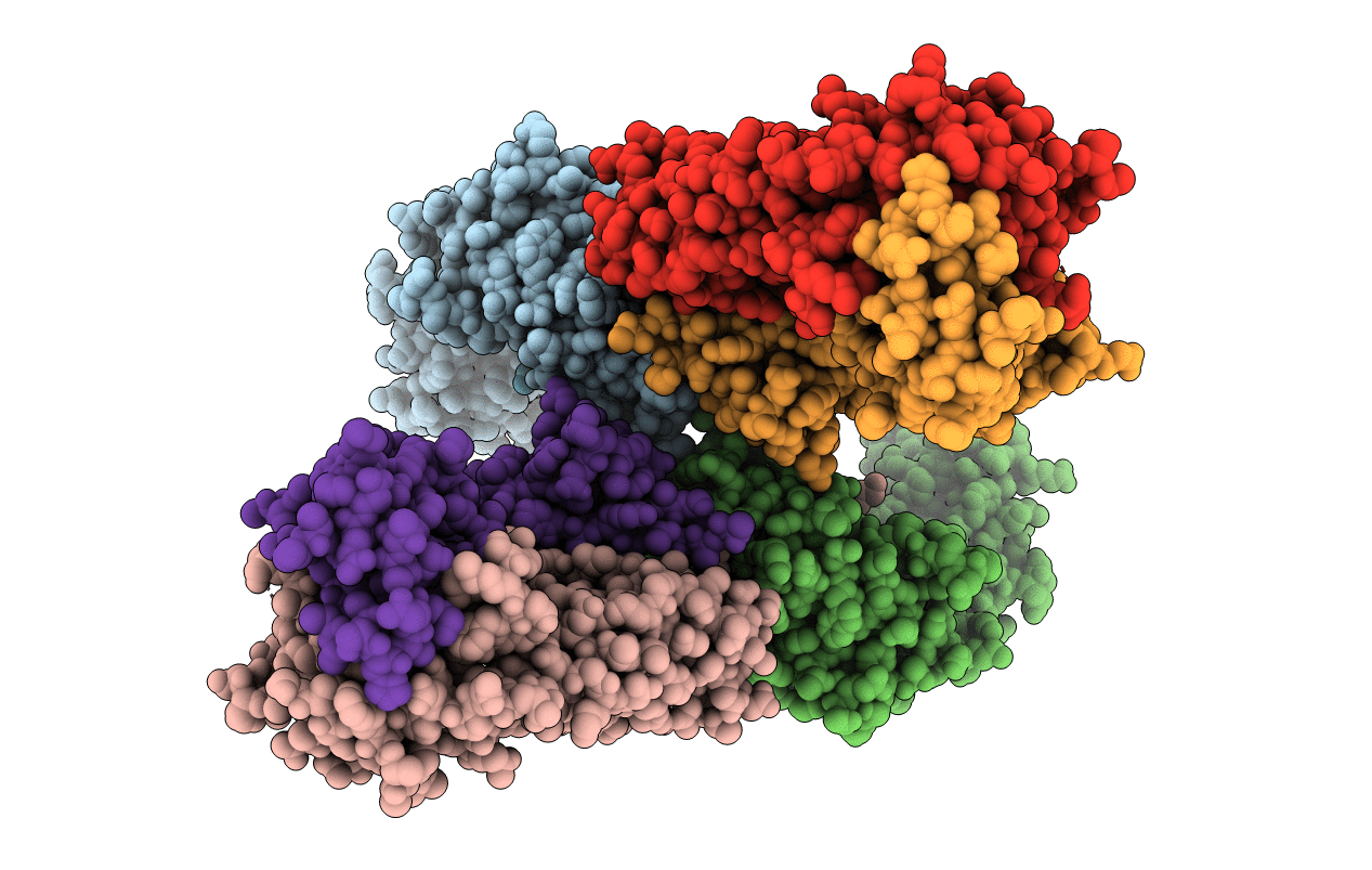 3SDX image