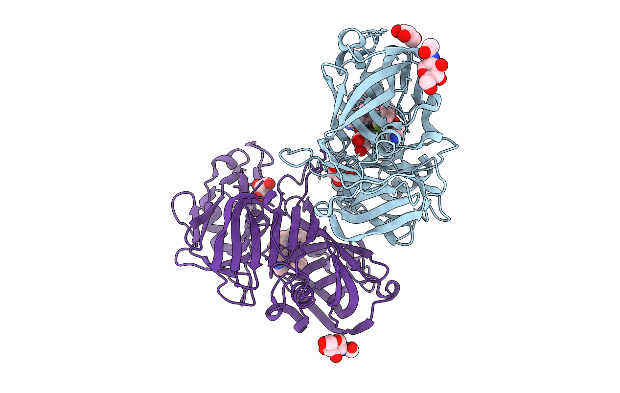 3SFC image