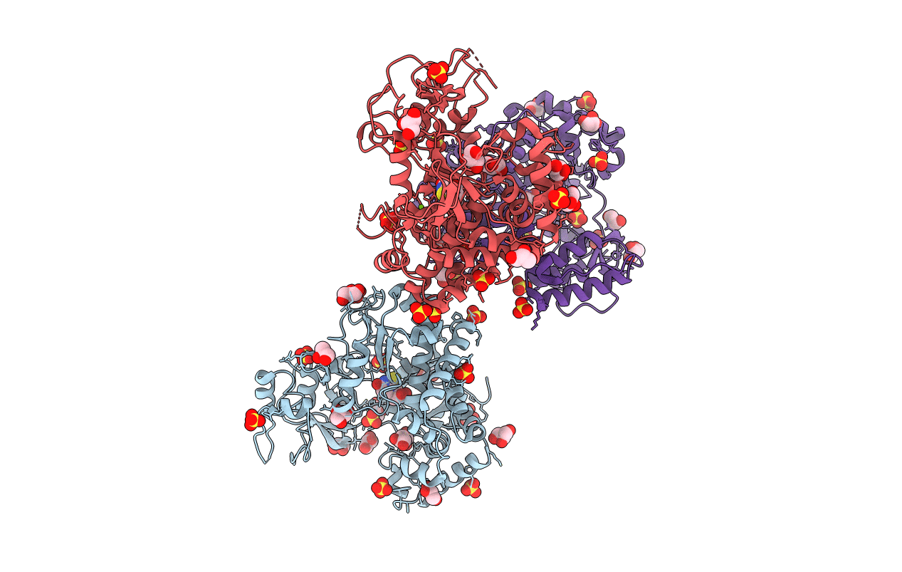 3SFG image