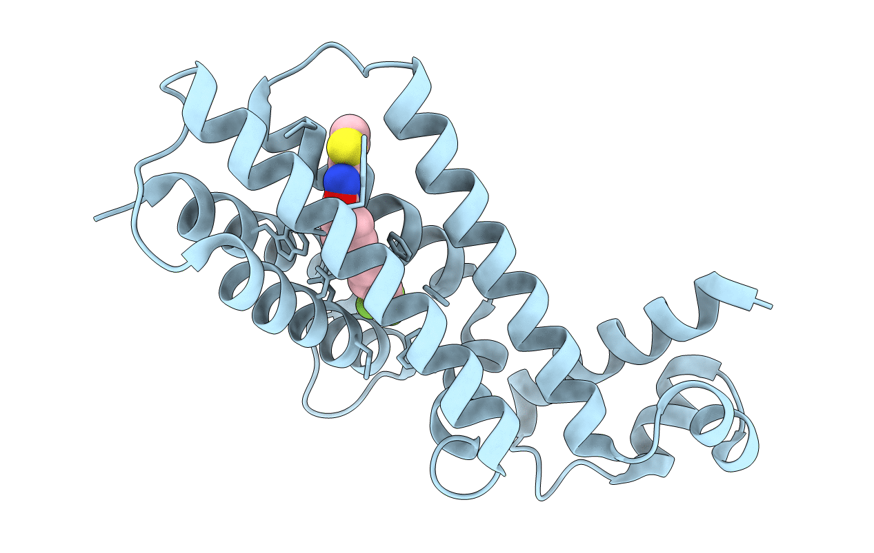 3SFI image