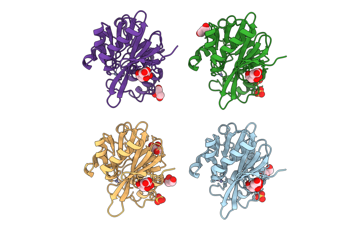 3SFP image