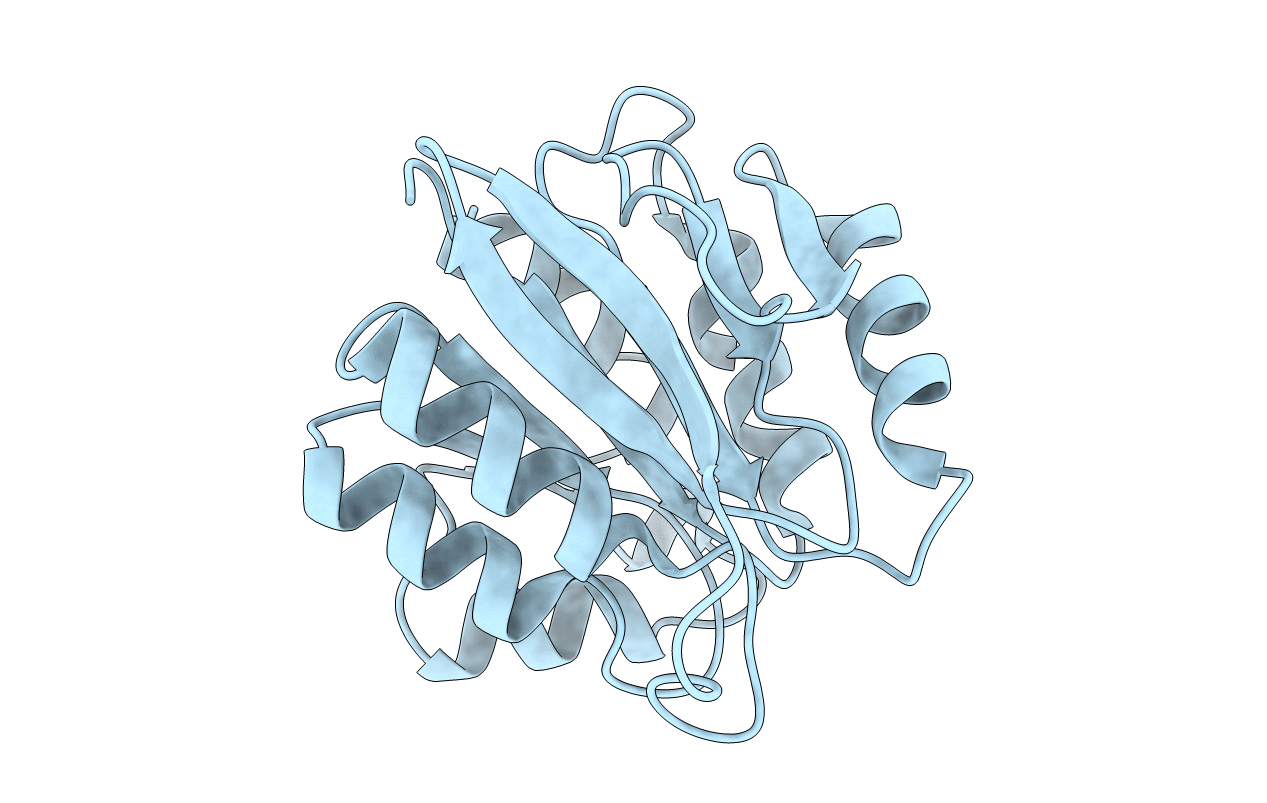 3SFT image