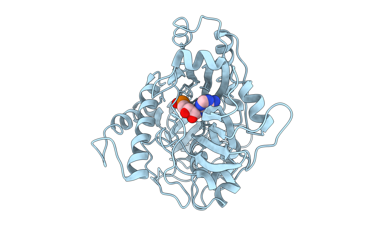 3SGI image