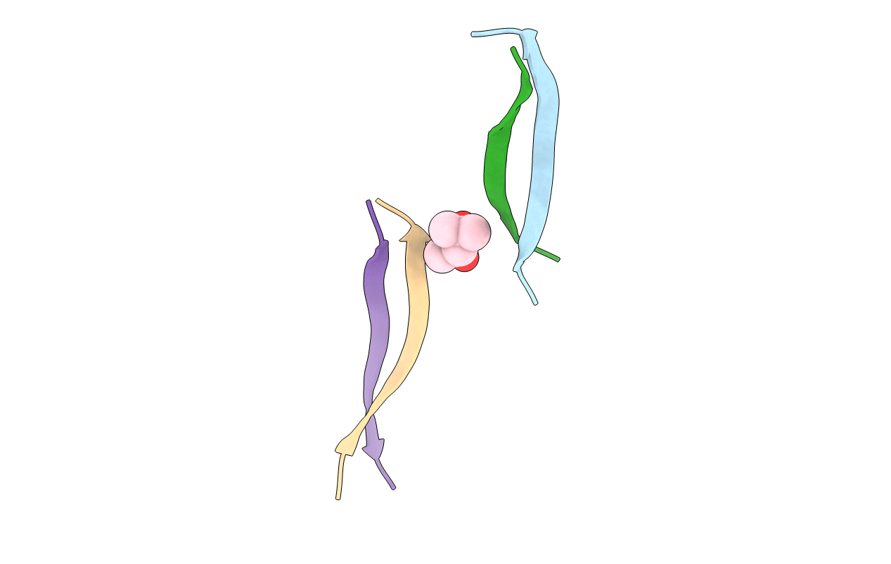 3SGM image