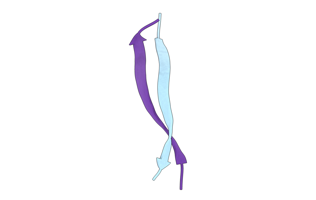 3SGN image