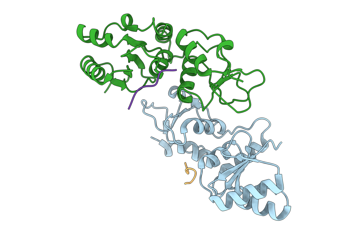 3SHV image